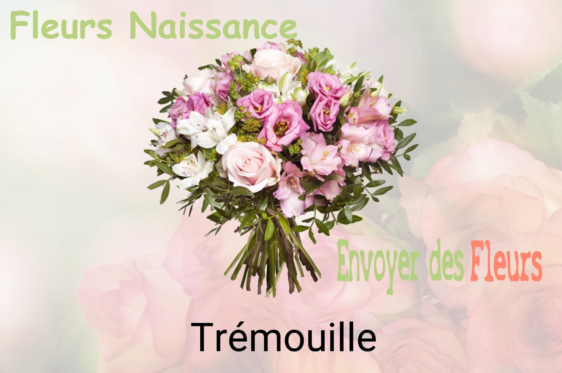 Bouquet de fleurs de naissance livré à Trémouille