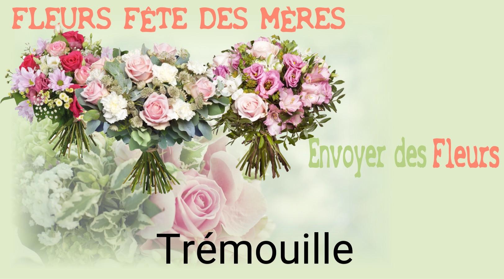 Bouquet de Fête des Mères livré à Trémouille